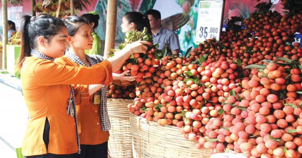 Nông sản Việt: Đừng lãng phí chỉ dẫn địa lý